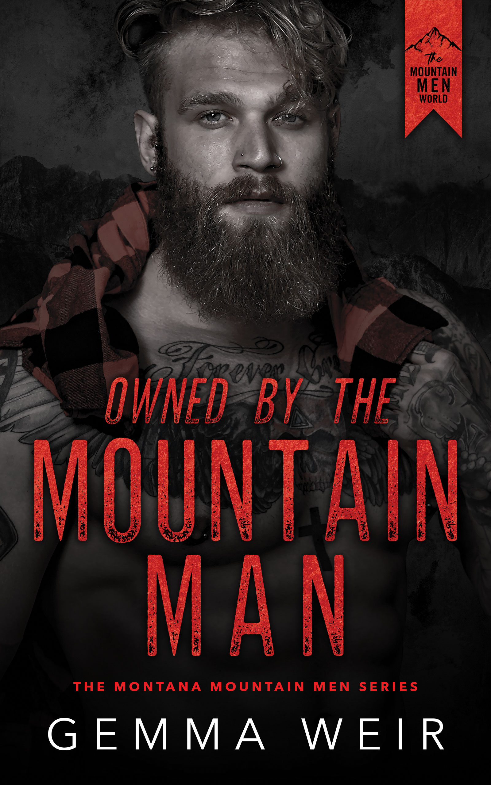 Owned by the Mountain Man - ebook