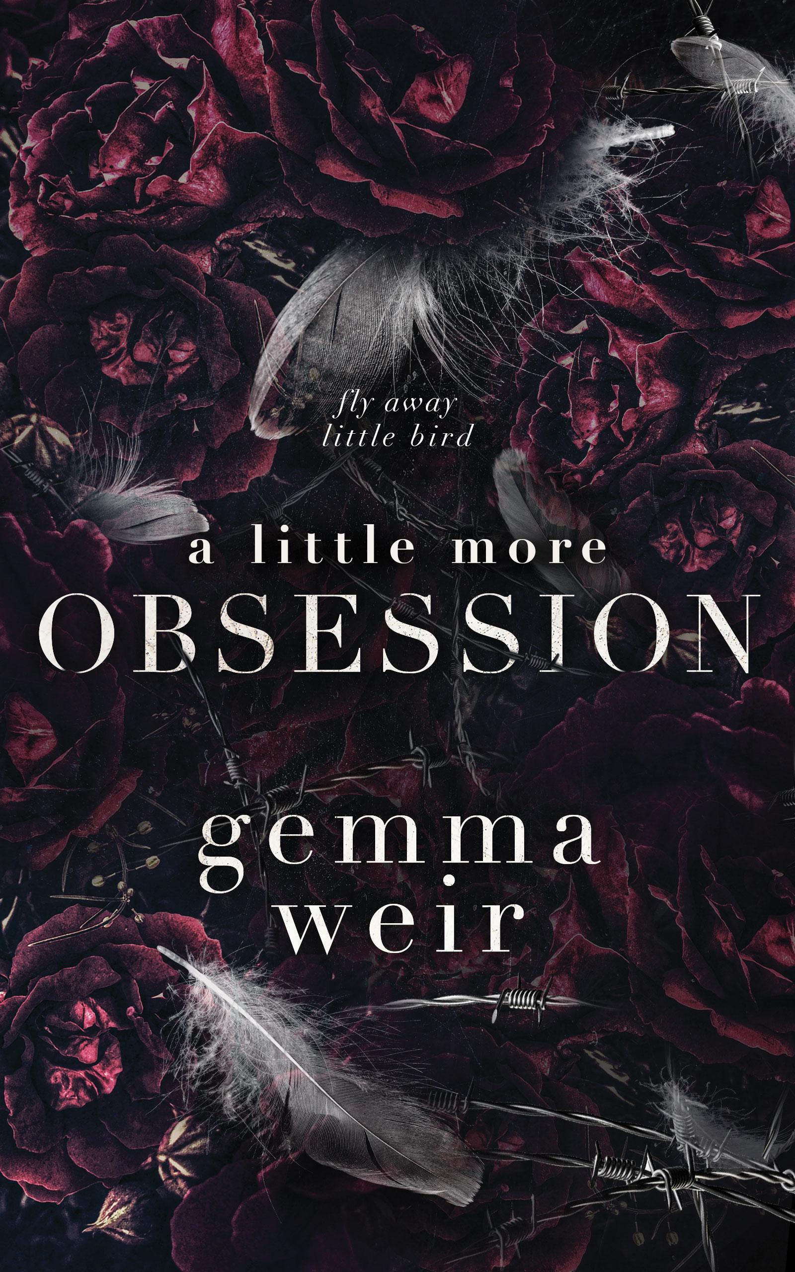 A Little More Obsession - ebook